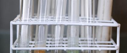 Biobased economie op de Green Chemistry Campus in Bergen op Zoom