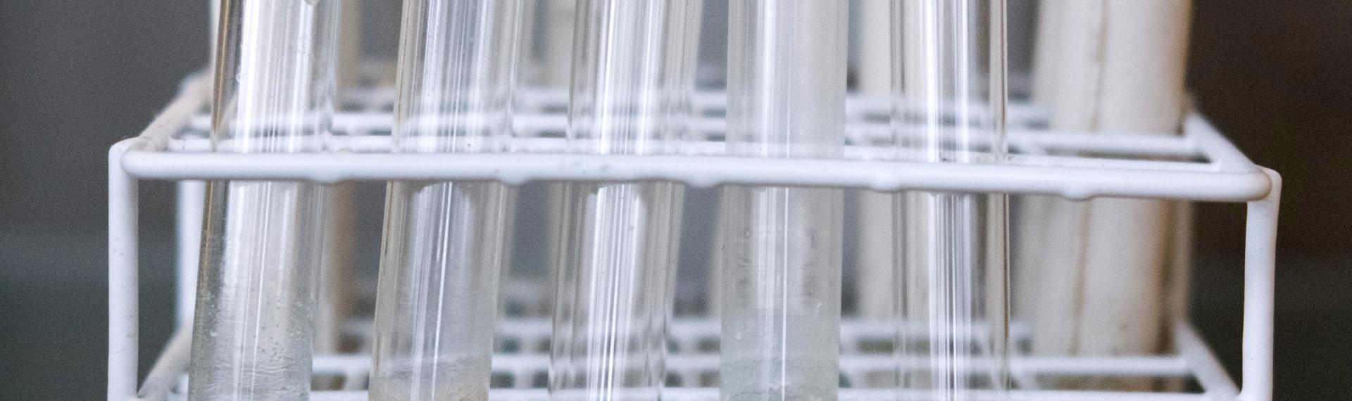 Biobased economie op de Green Chemistry Campus in Bergen op Zoom