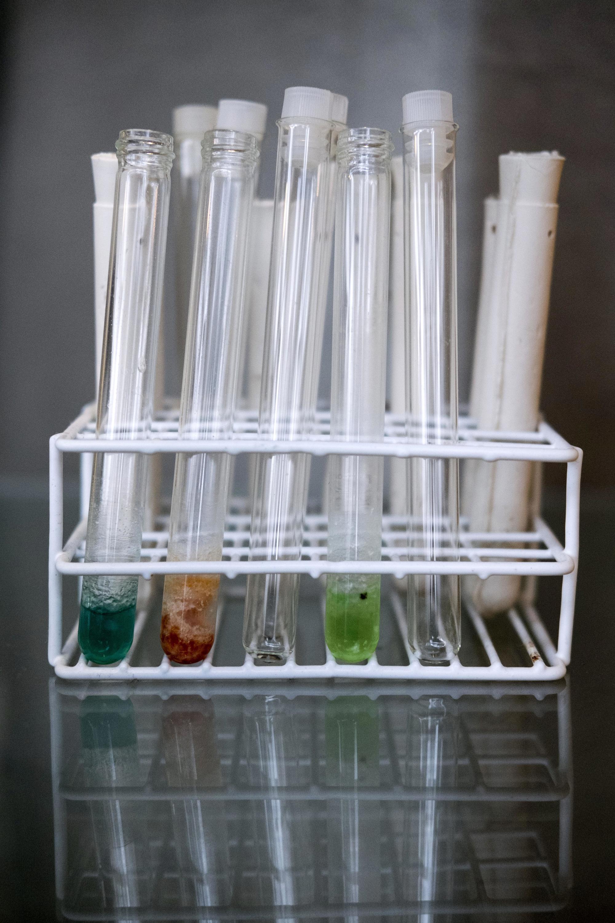 Bio-based economy at the Green Chemistry Campus in Bergen op Zoom