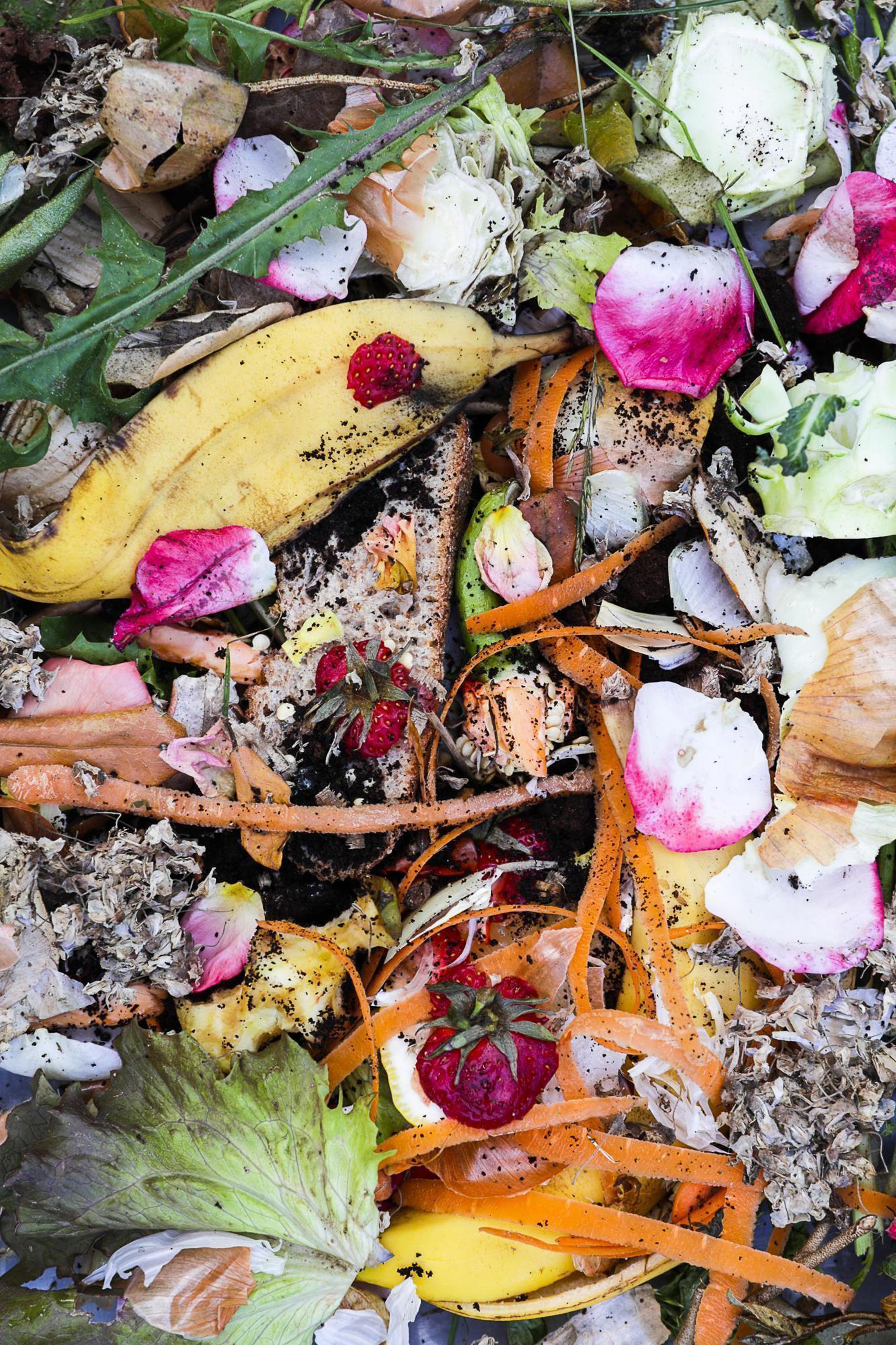 Bioriozon in Bergen op Zoom makes raw materials from reusable waste