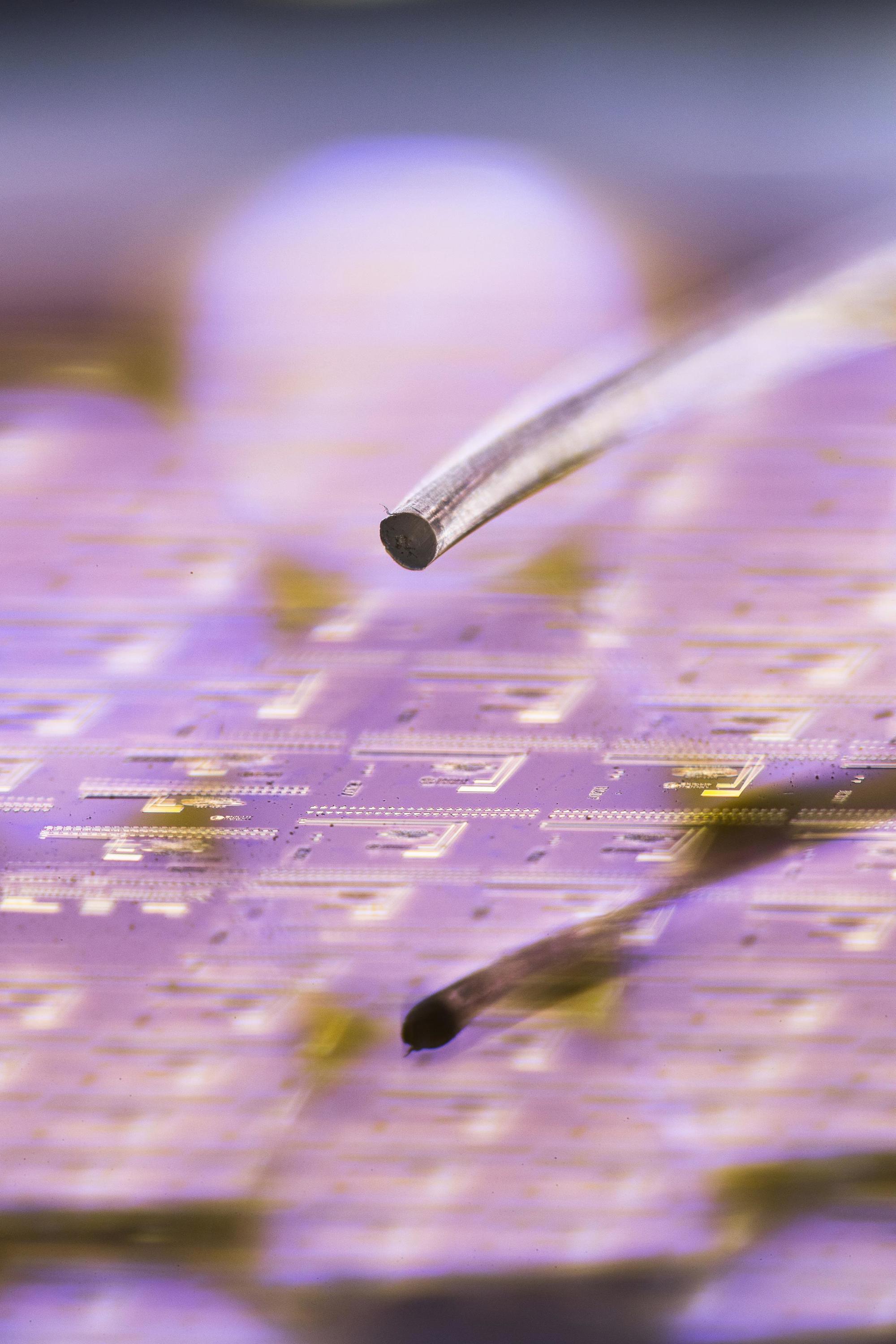 Smart Photonics ist eine reine InP unternehmen für photonische Halbleiter