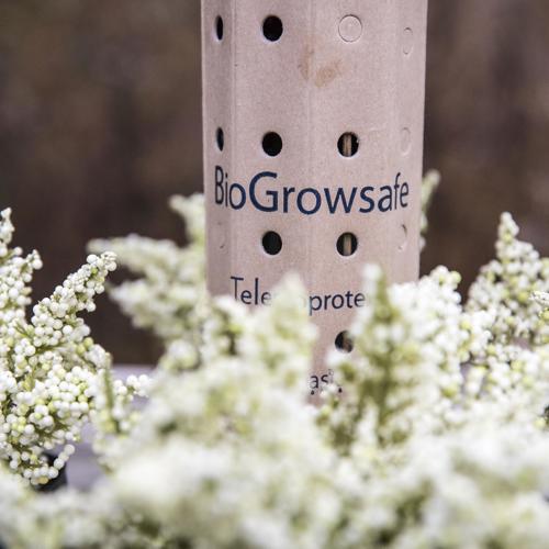 Pieter Hoff from Steenbergen designs water transport system Growboxx