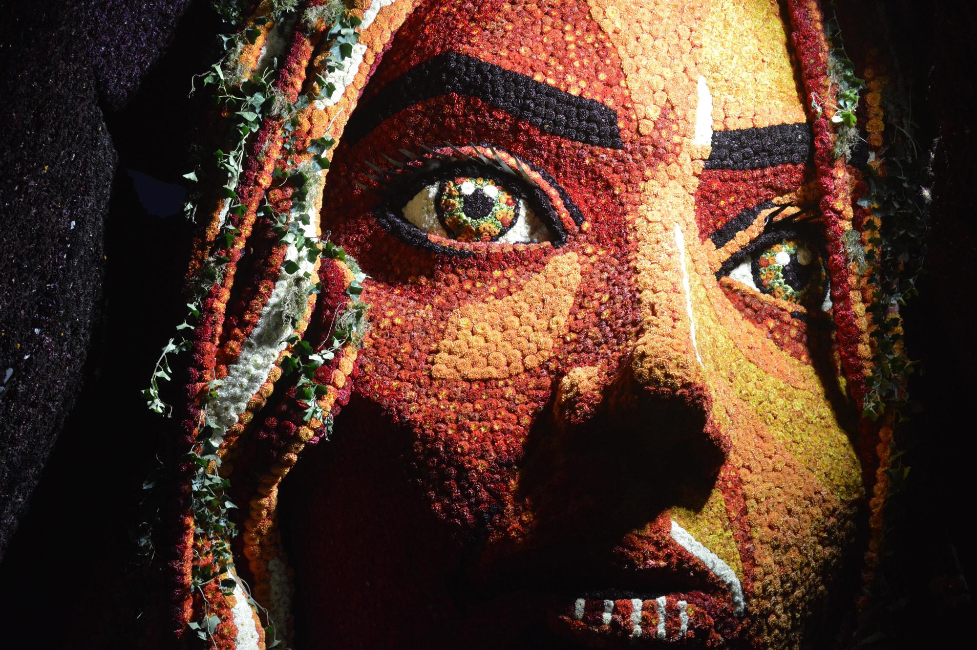 Er zijn ieder jaar 10 miljoen dahlia’s nodig voor het bloemencorso in Zundert