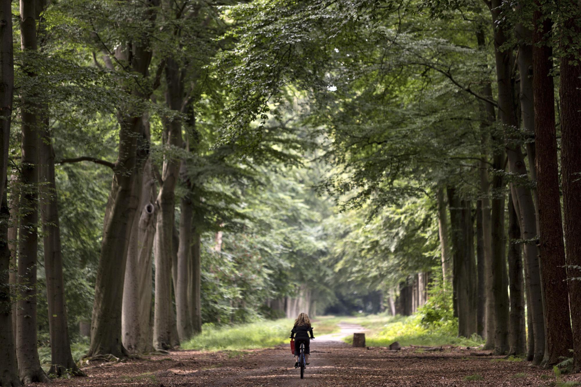 Breda: De gastvrije, groene stad