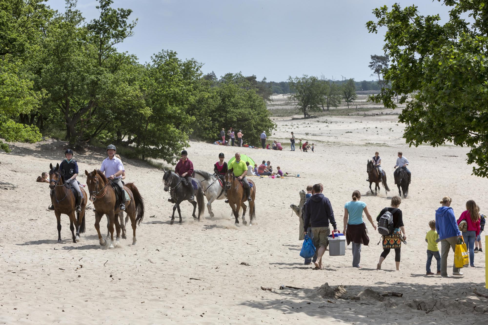 Drunense Duinen