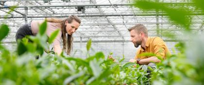 Dionne Oomen en Johan Jansen, LocalTea Zundert