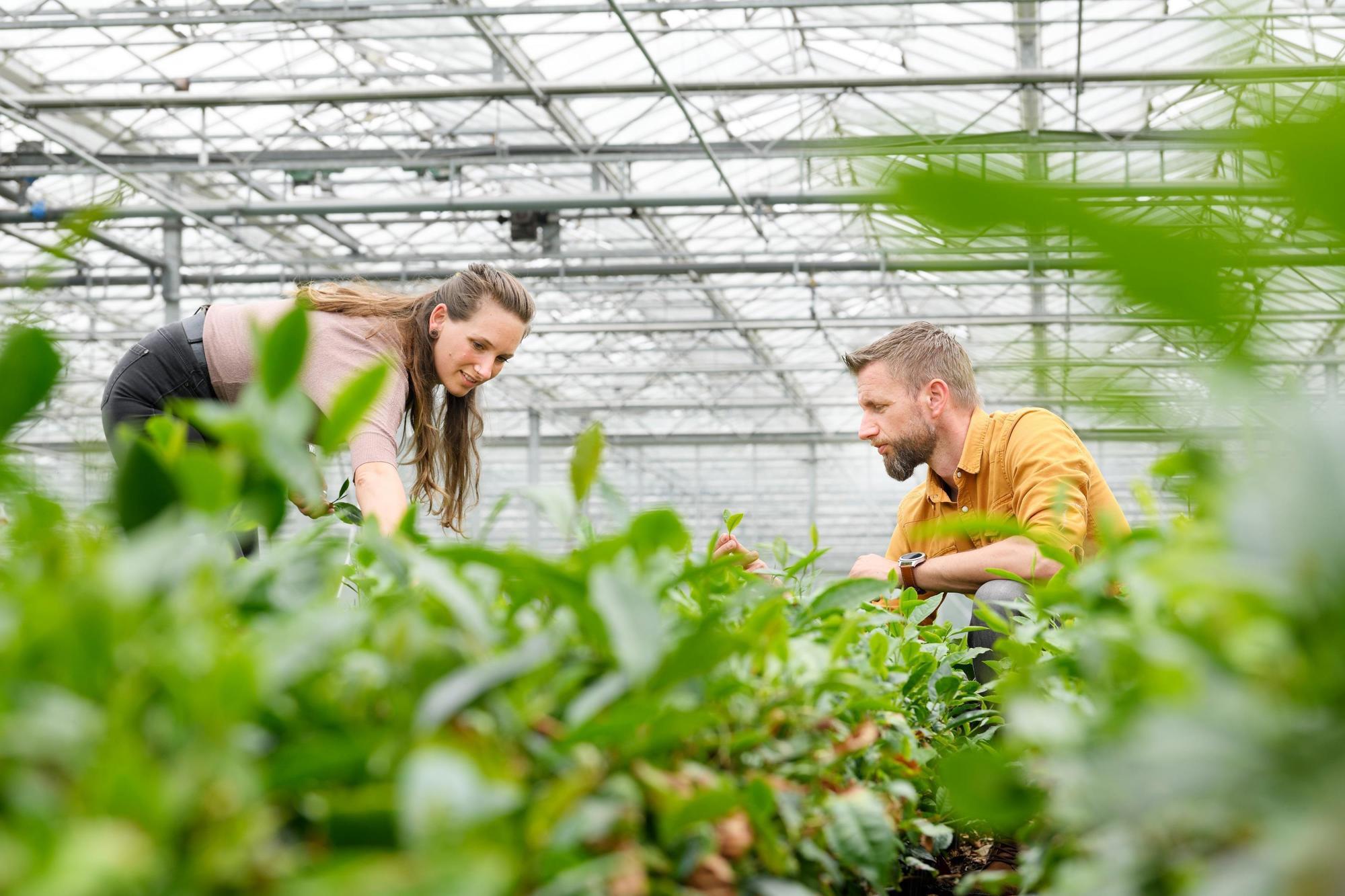 Dionne Oomen en Johan Jansen, LocalTea Zundert