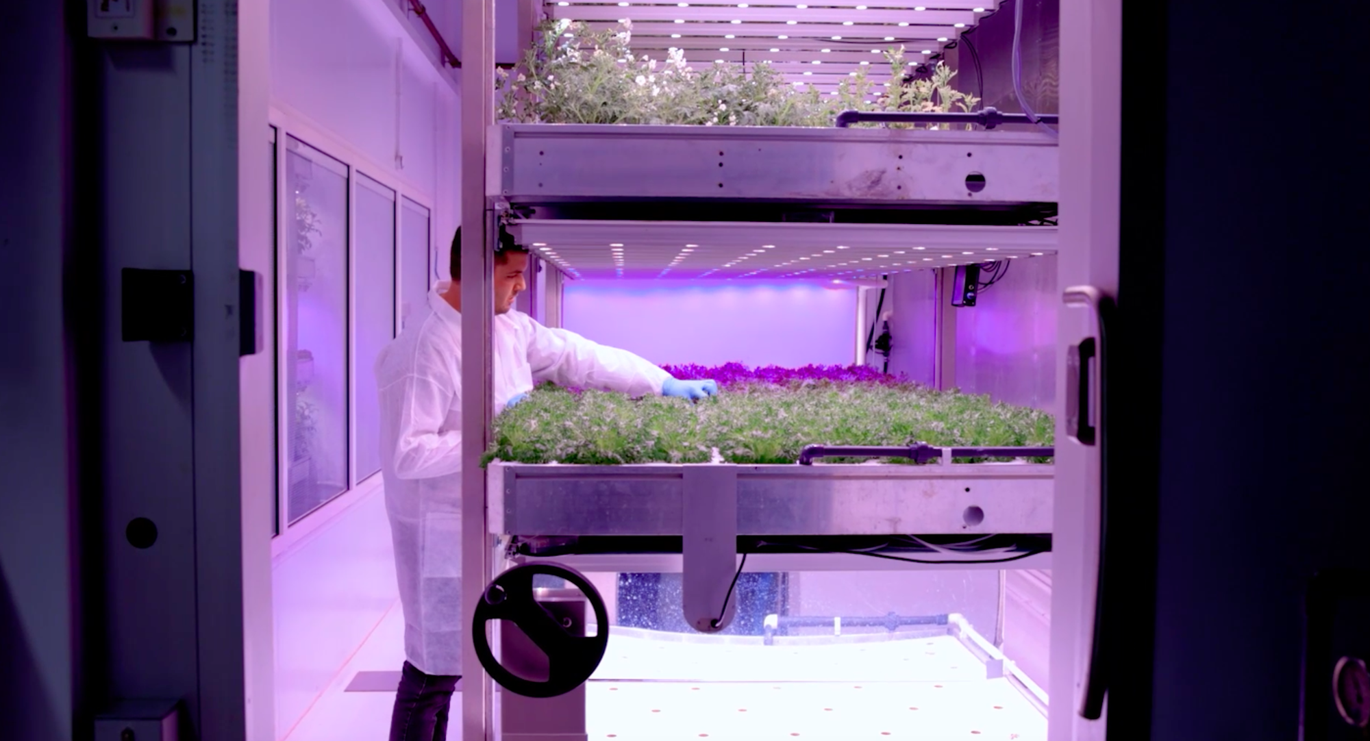 GrowWise: vertical farming
