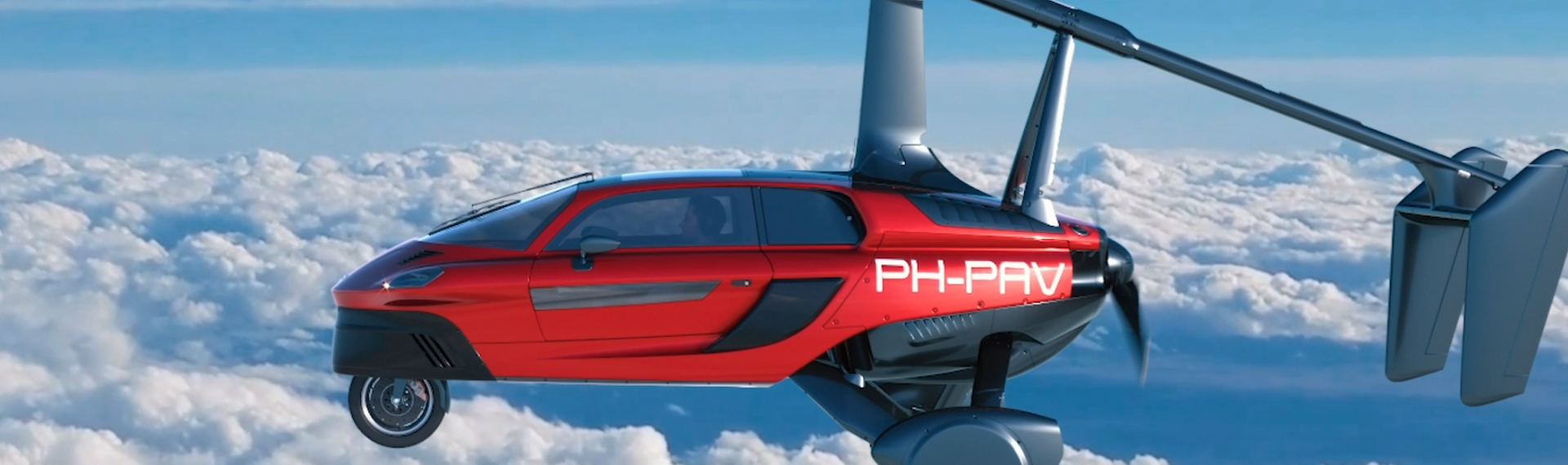 Pal-V